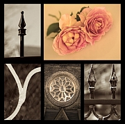 Wall_Art_Alphabet_Photography_Art_ 994